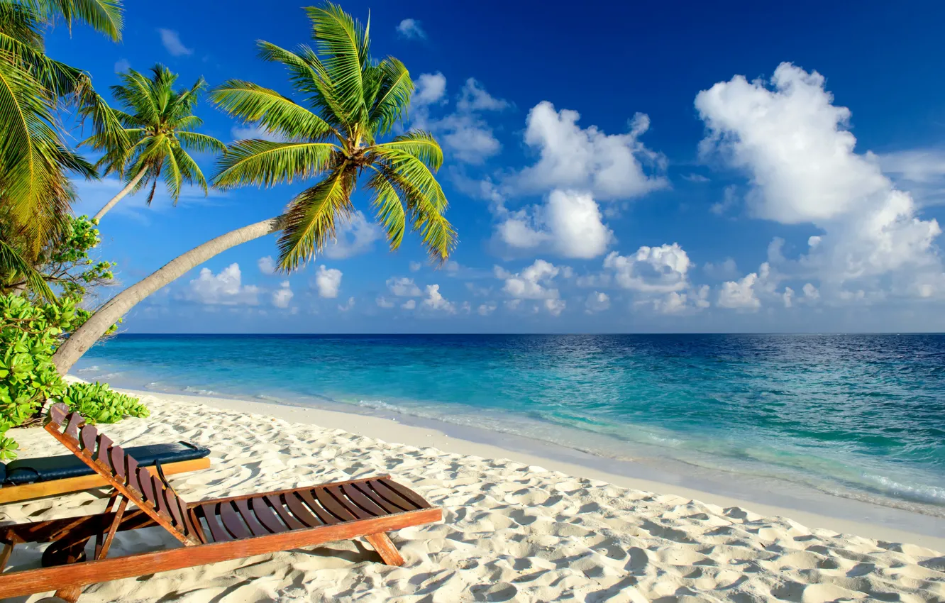 Фото обои море, пляж, тропики, пальмы, отдых