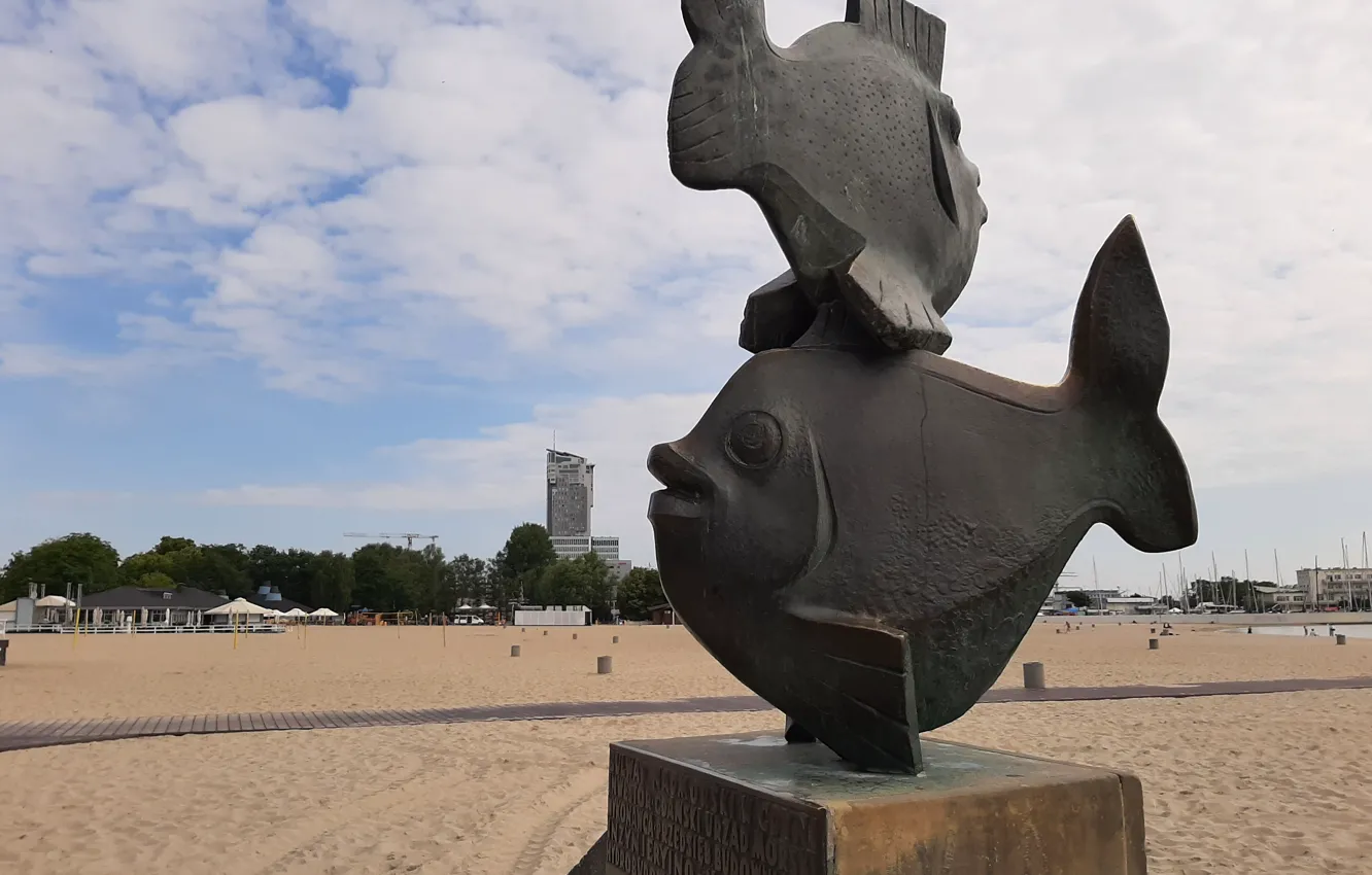 Фото обои plaża, ryby, cokół, Gdynia