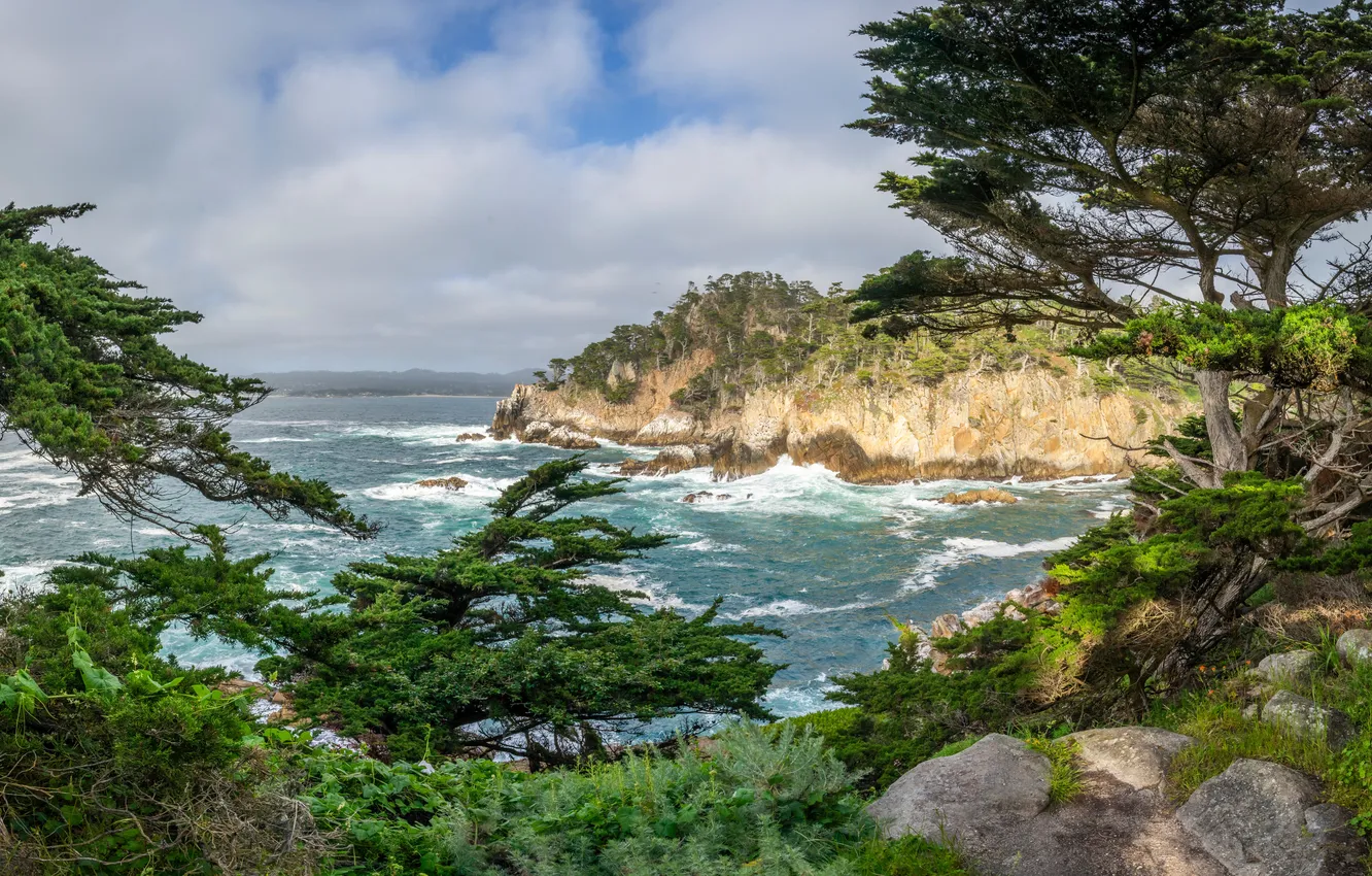 Фото обои скала, Калифорния, панорама, США, Trail Point Lobos