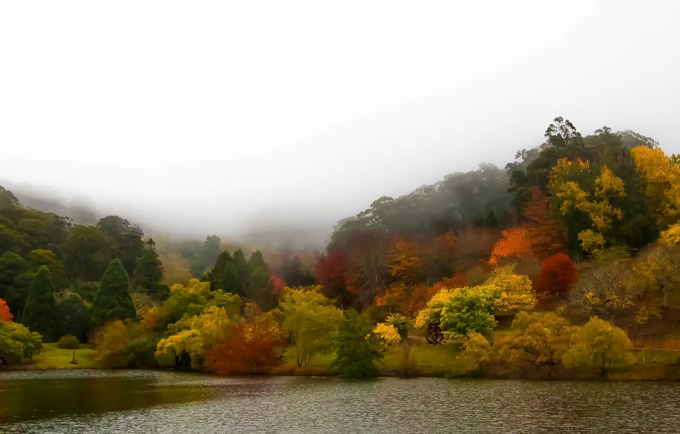 Фото обои деревья, туман, озеро, парк