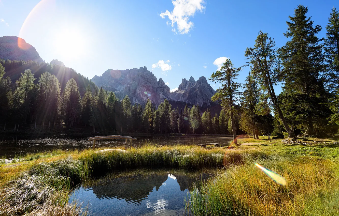 Фото обои лес, трава, солнце, лучи, свет, горы, озеро, отражение