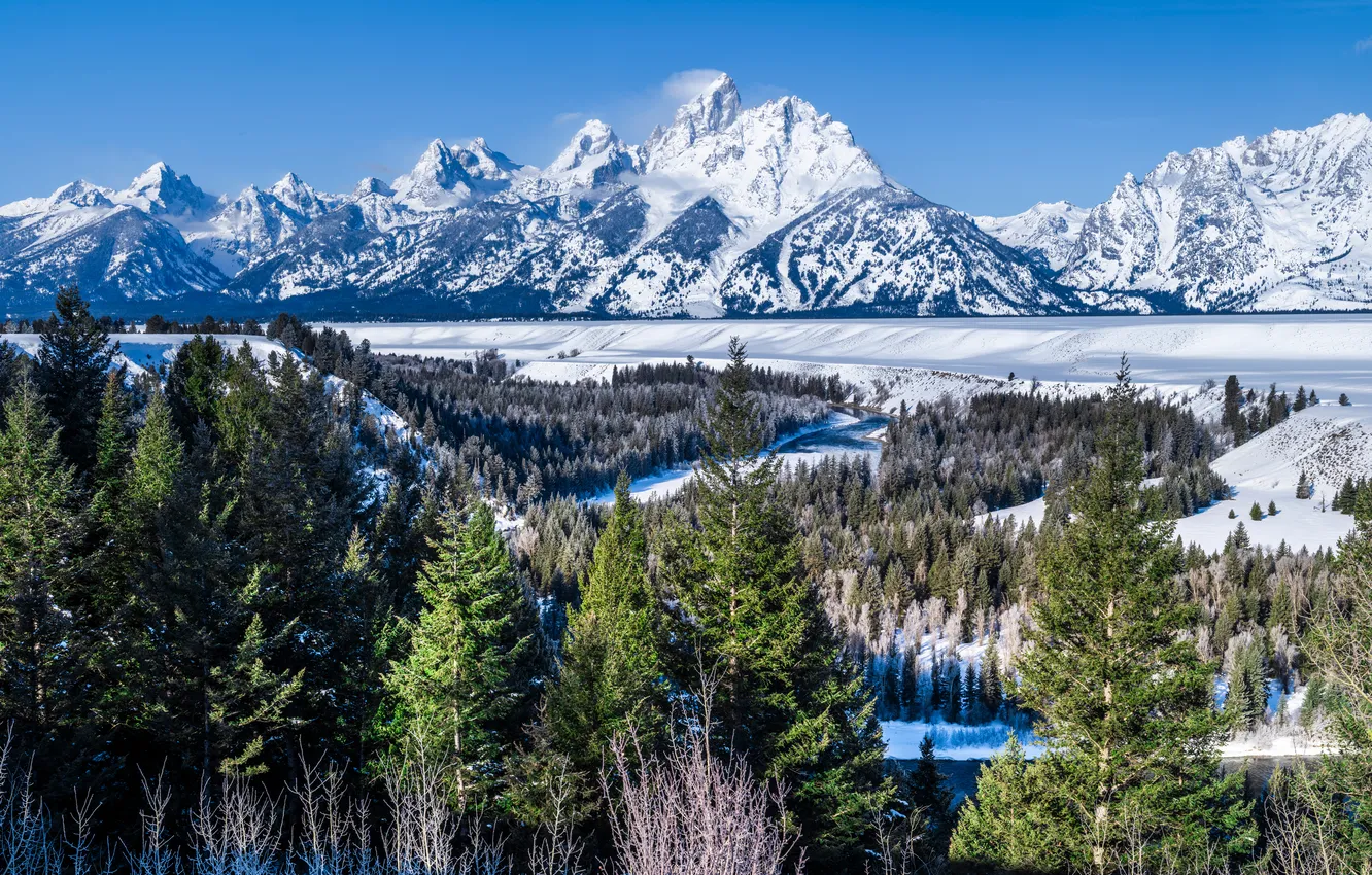 Фото обои лес, снег, пейзаж, горы, США, парки, Grand Teton National Park