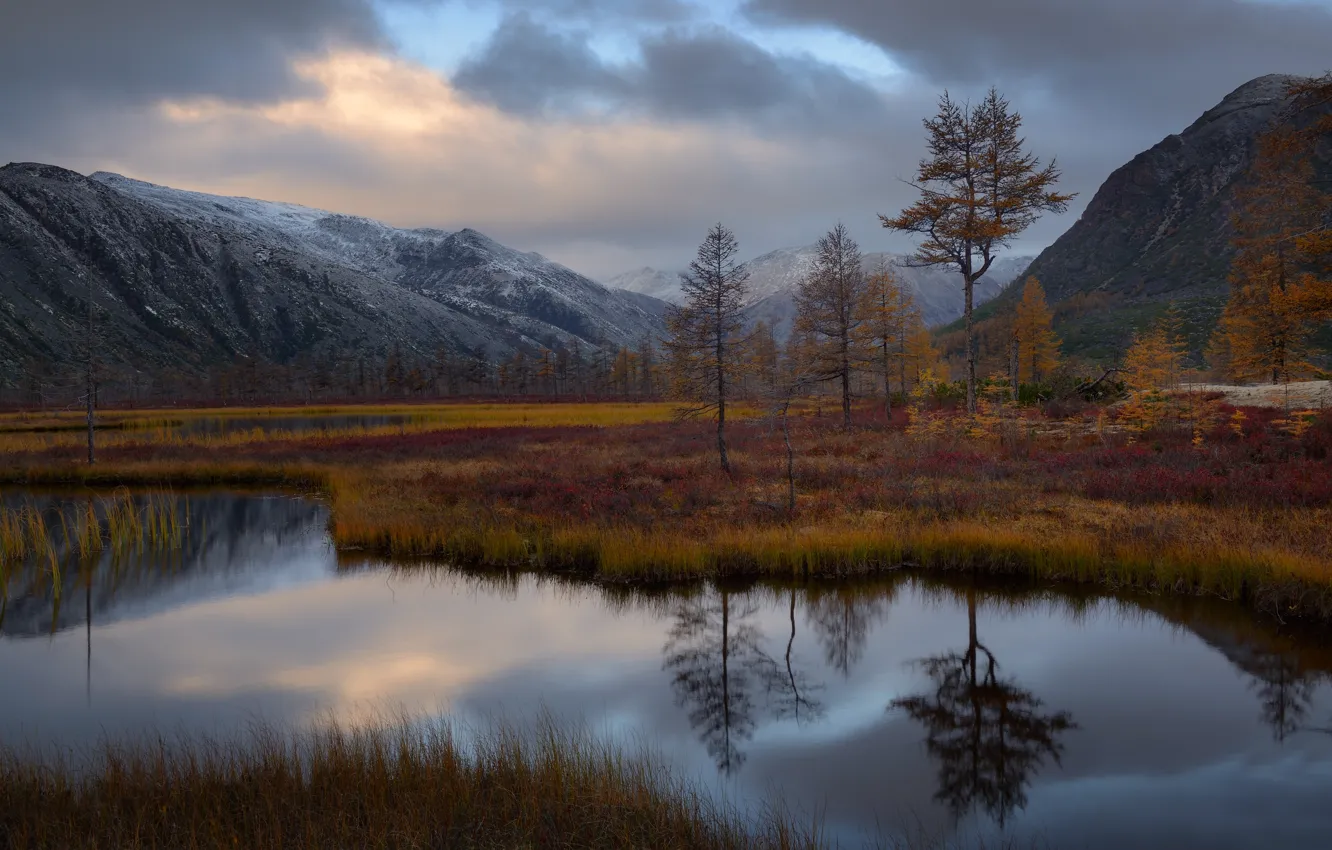Фото обои осень, деревья, пейзаж, горы, отражение, берег, водоем