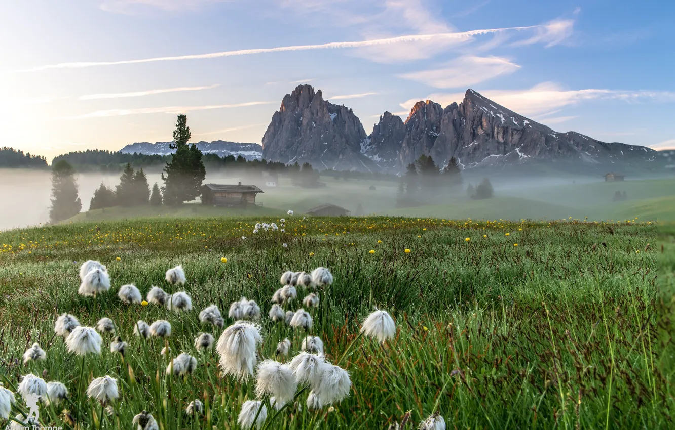 Фото обои поле, горы, природа, туман, утро