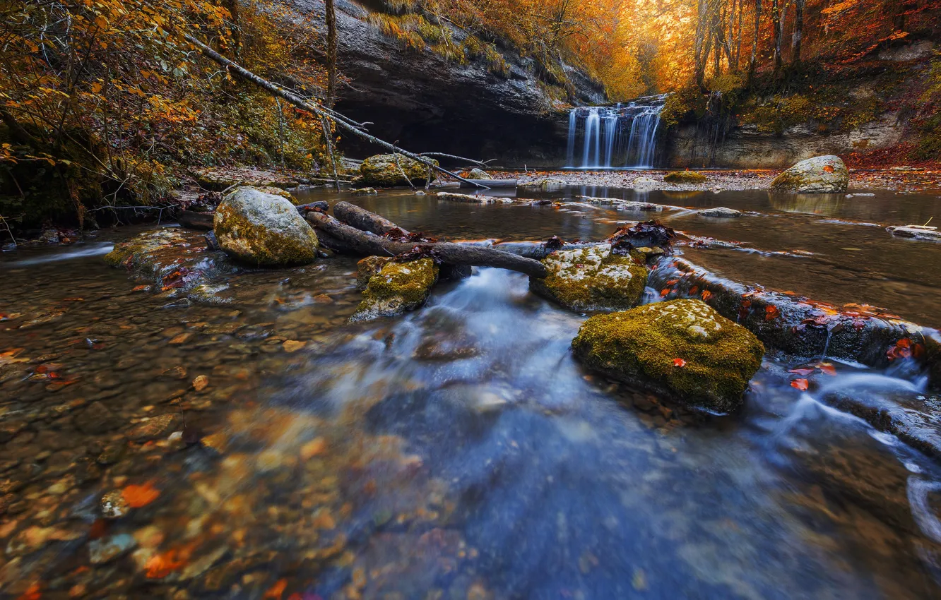 Фото обои осень, лес, листья, водопад, поток