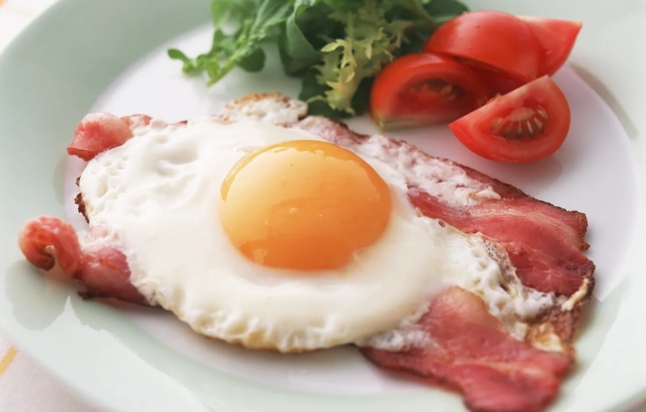 Фото обои зелень, яйцо, тарелка, яичница, помидор, бекон, Завтрак