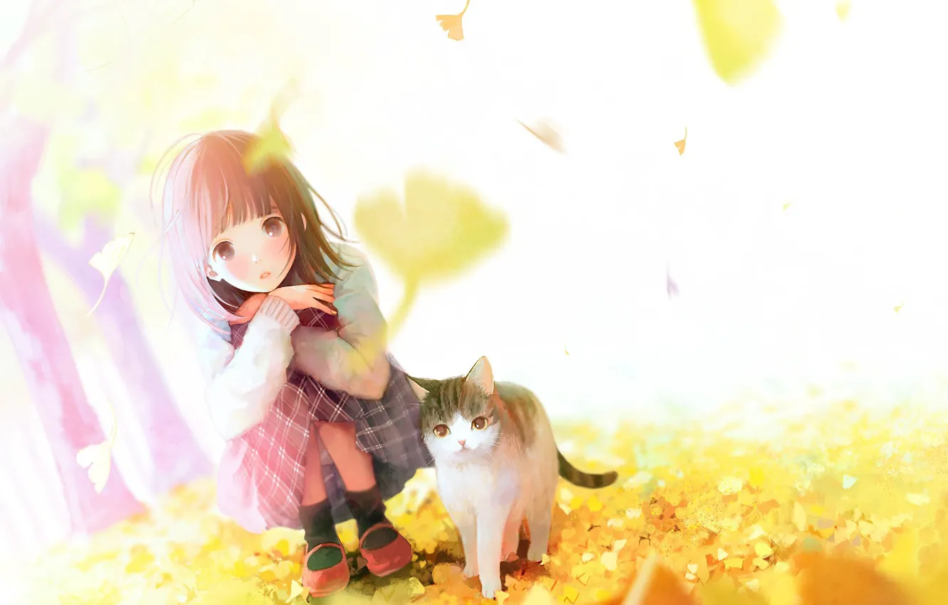 Фото обои ветер, девочка, носки, листопад, на корточках, полосатая кошка, осенние листья, солнечный денёк