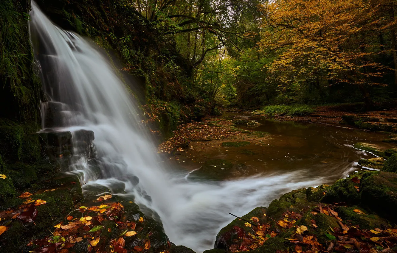 Фото обои осень, лес, водопад, Германия, речка, опавшие листья