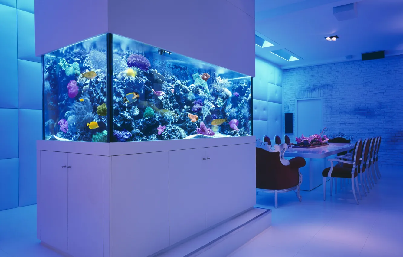 Фото обои рыбки, стол, комната, стулья, аквариум, коралы, морской, interior