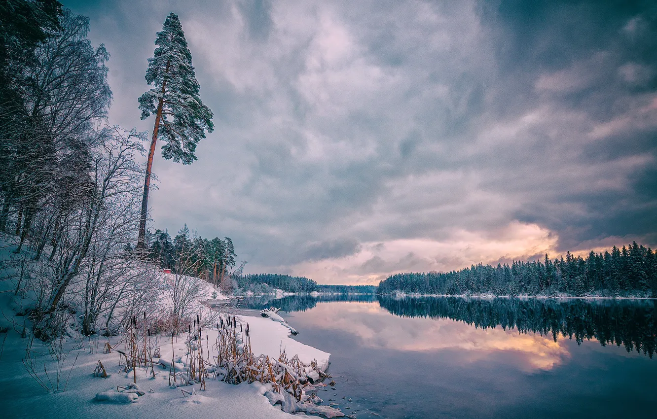 Фото обои зима, снег, пейзаж, тучи, природа, река, мороз, леса