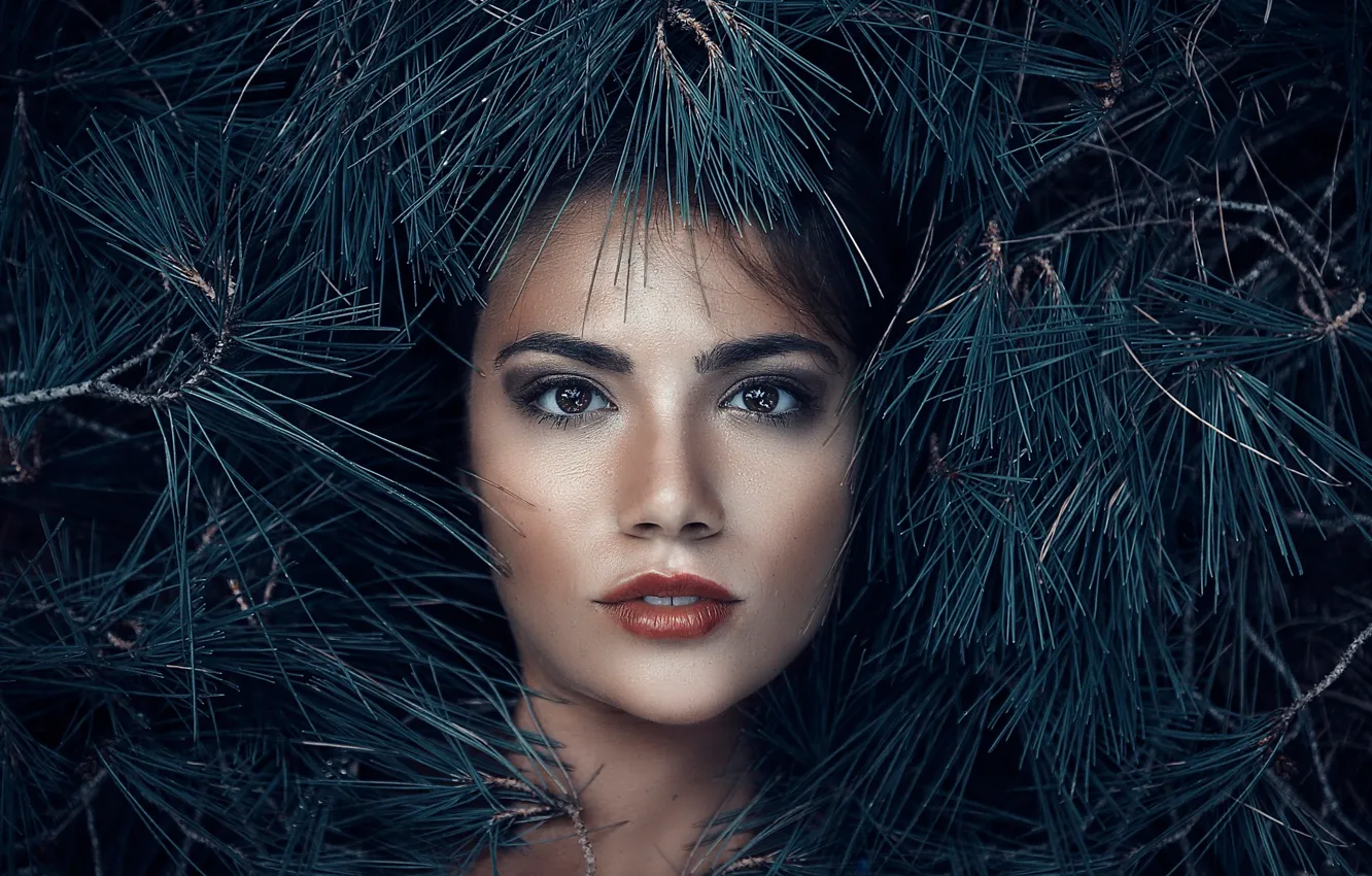 Фото обои взгляд, макияж, иголочки, Alessandro Di Cicco, Queen of the woods