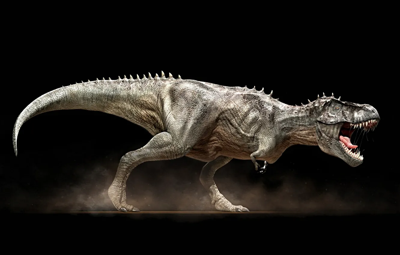 Фото обои динозавр, пасть, клыки, чёрный фон, TRex