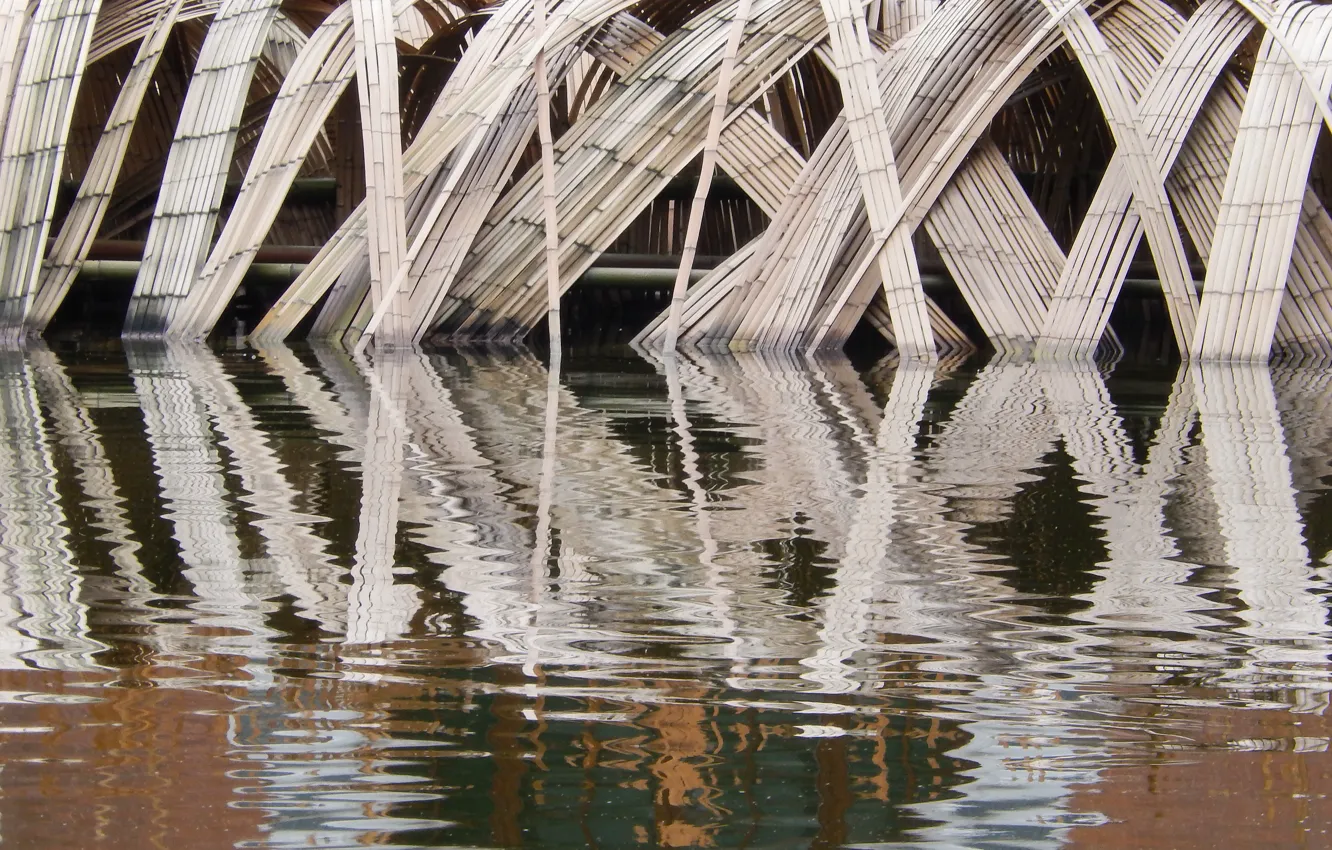 Фото обои отражение, фон, widescreen, обои, бамбук, wallpaper, водоем, широкоформатные