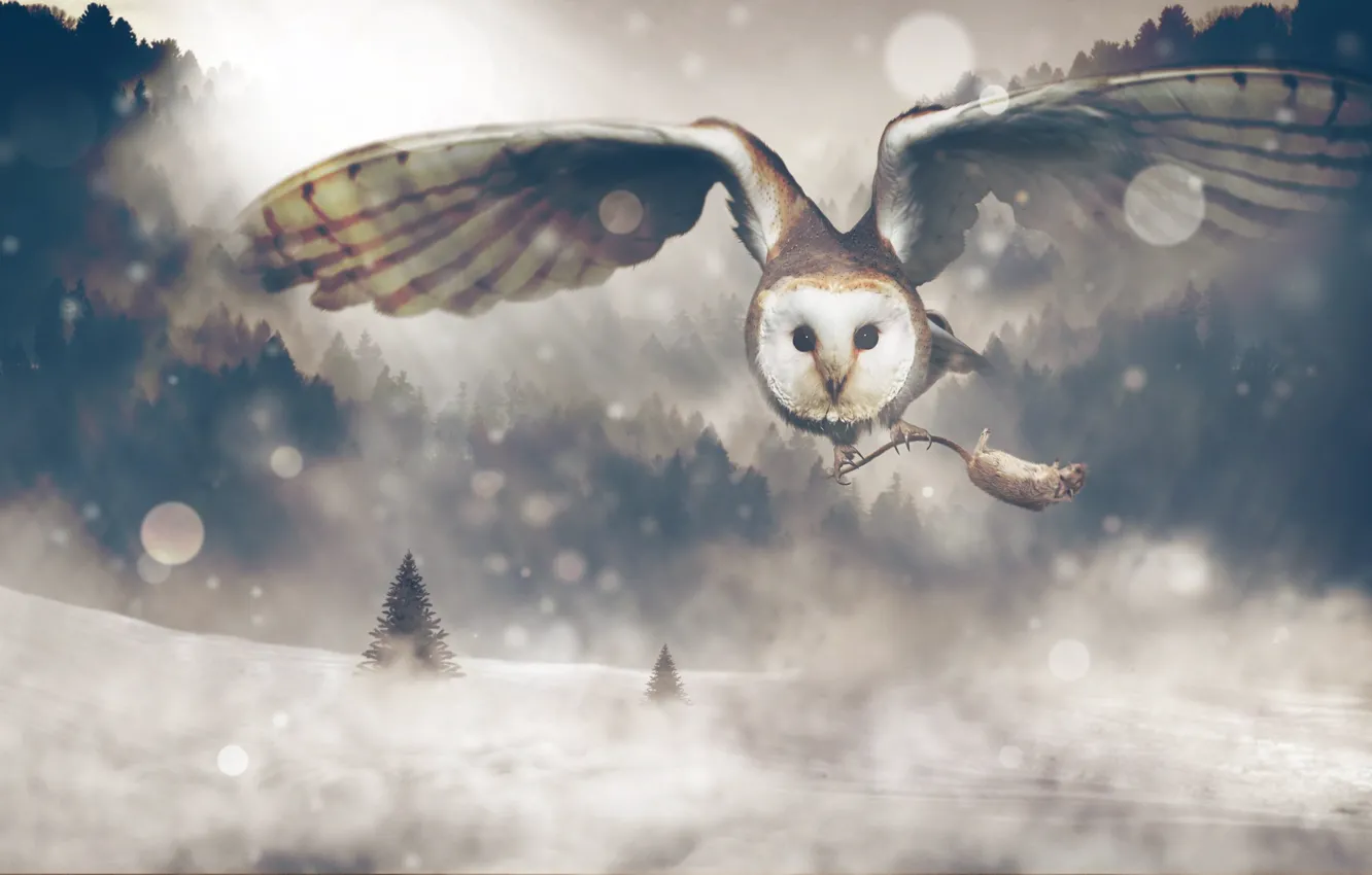 Фото обои зима, лес, взгляд, снег, полет, природа, рендеринг, сова
