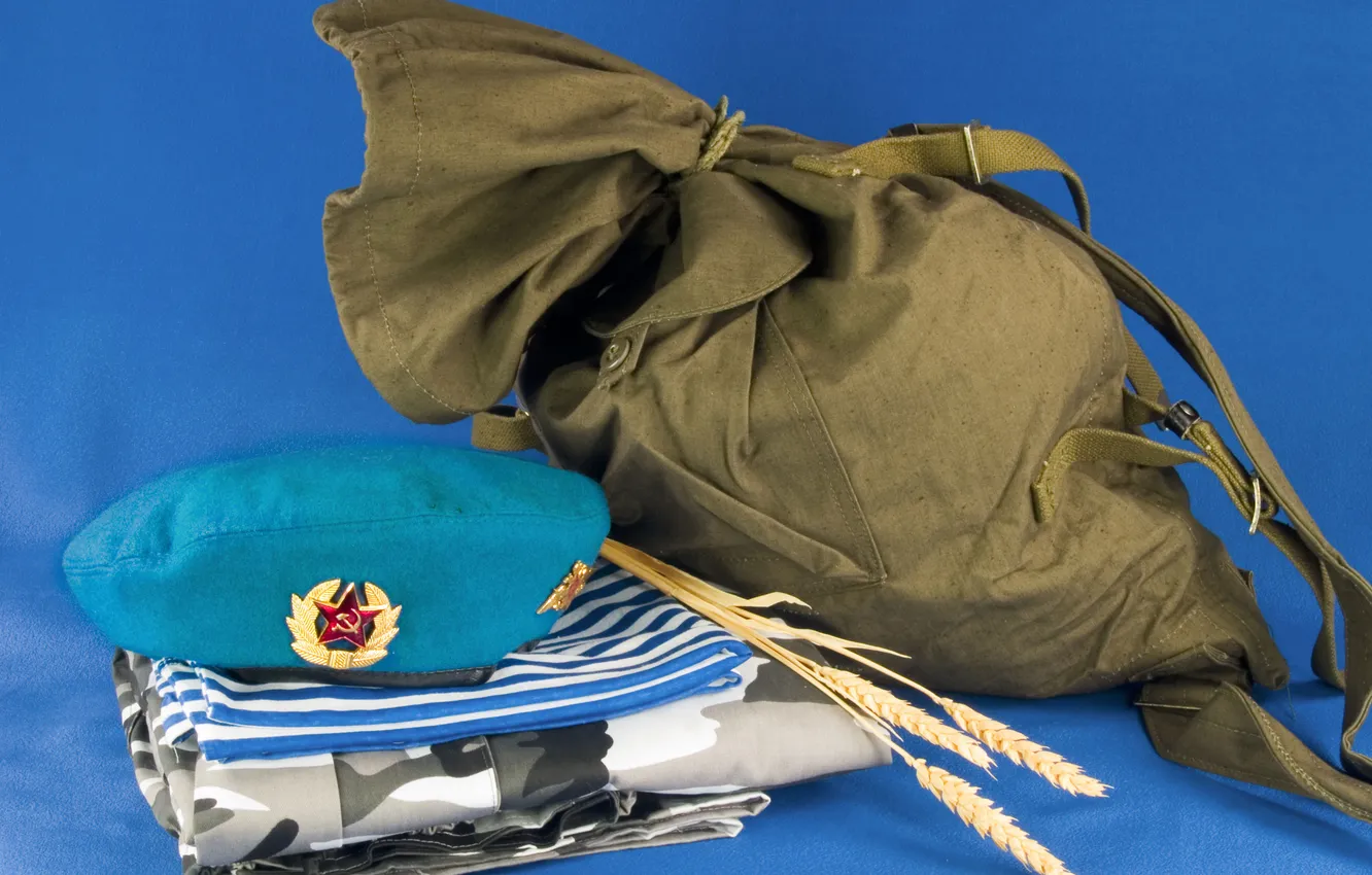 Фото обои фон, форма, колосья, камуфляж, рюкзак, тельняшка, голубой берет