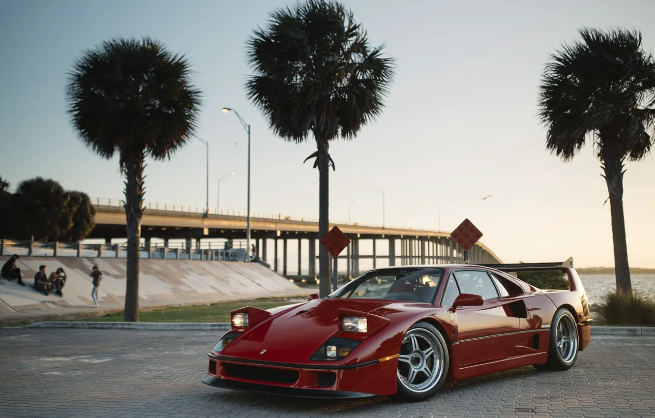 Фото обои ferrari, феррари, f40