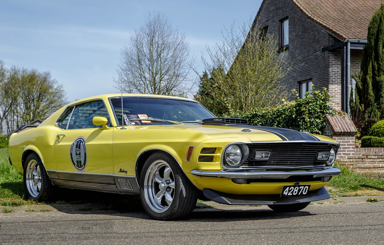 Фото обои Mustang, Ford, Yellow, Mach 1