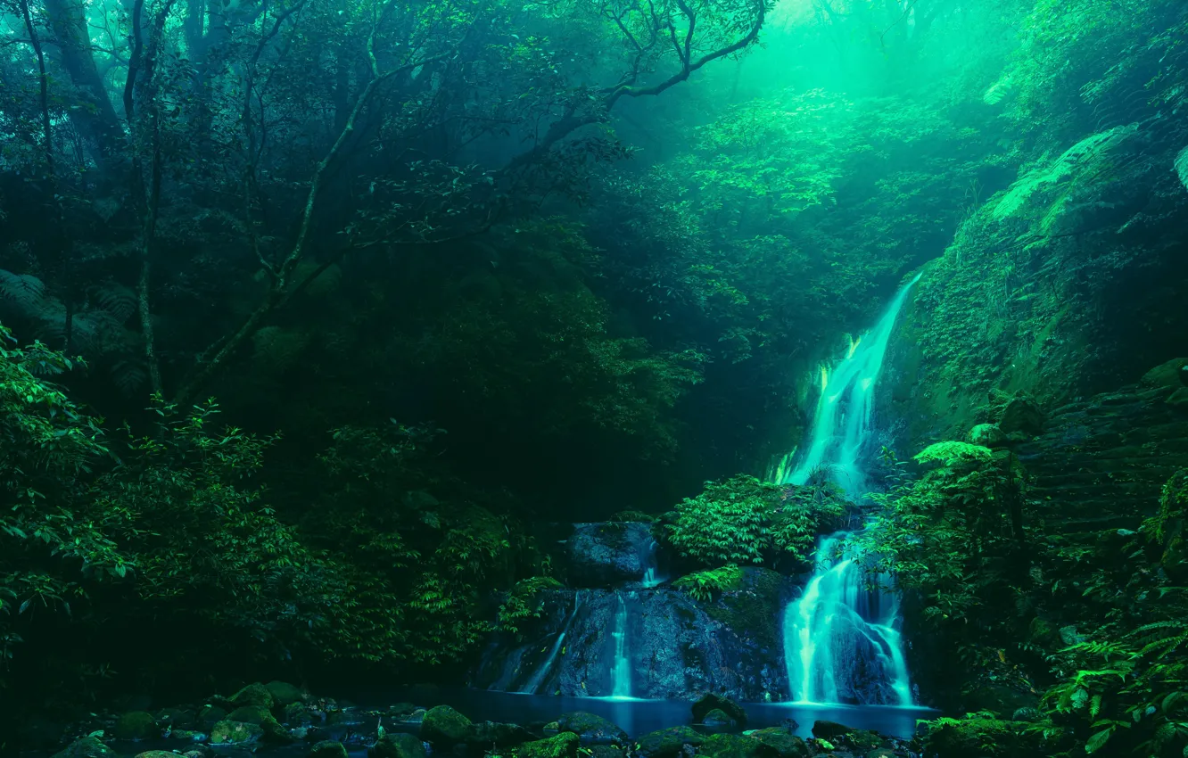 Фото обои вода, деревья, природа, ручей, камни, водопад, Тайвань, ступеньки