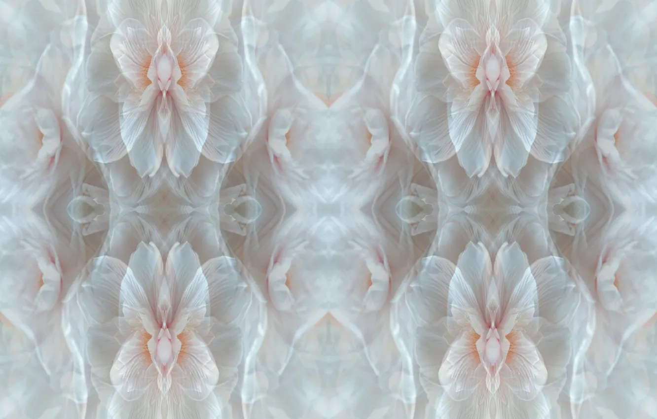 Фото обои texture, art, fractal art