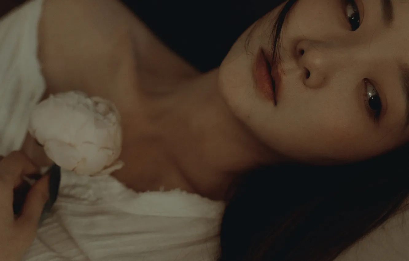 Фото обои Beautiful, Asian, Model, Flower, Woman, Cute, Lying Down, Laying