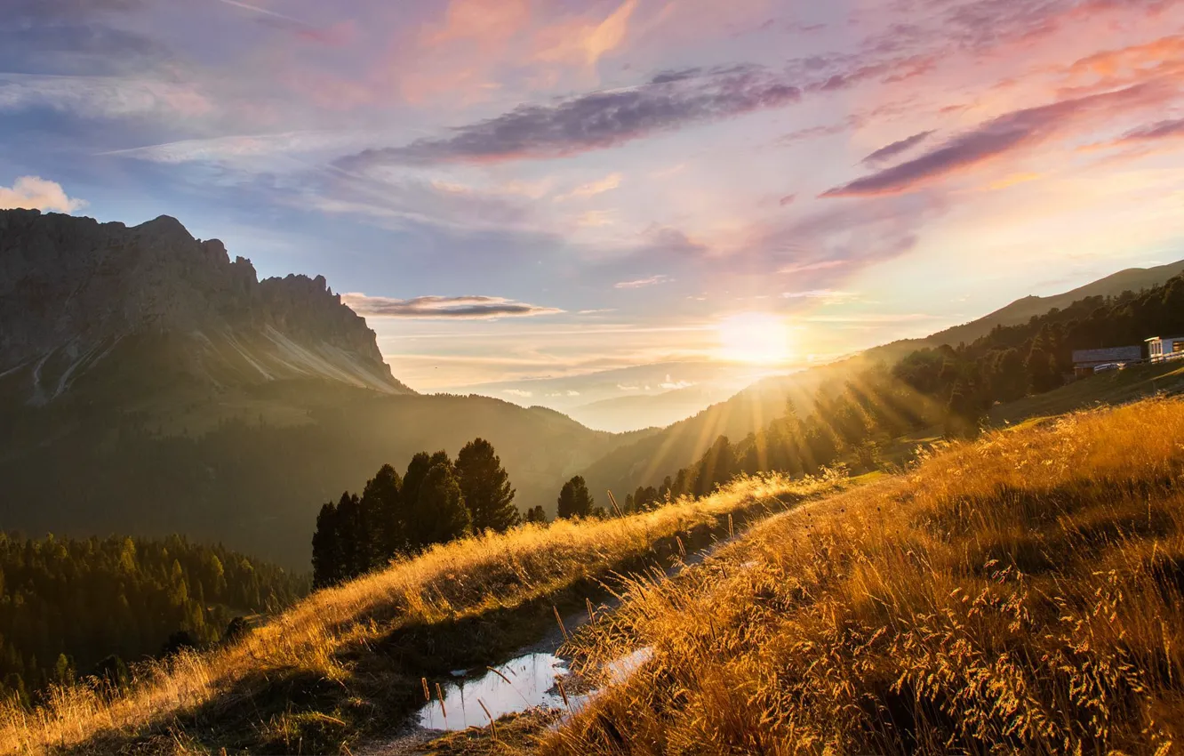 Фото обои поле, осень, лес, трава, солнце, облака, лучи, свет