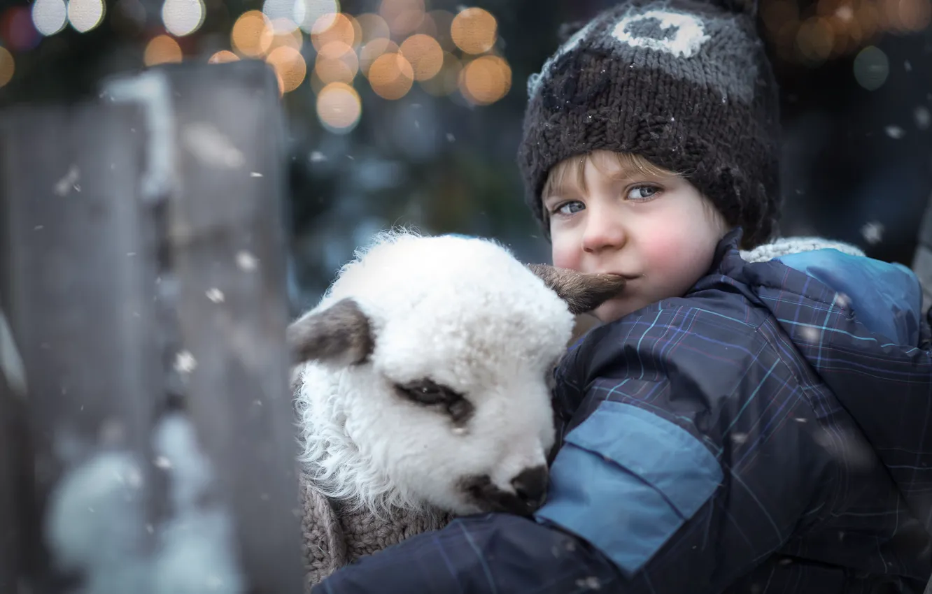Фото обои зима, животное, мальчик, ребёнок, боке, ягнёнок