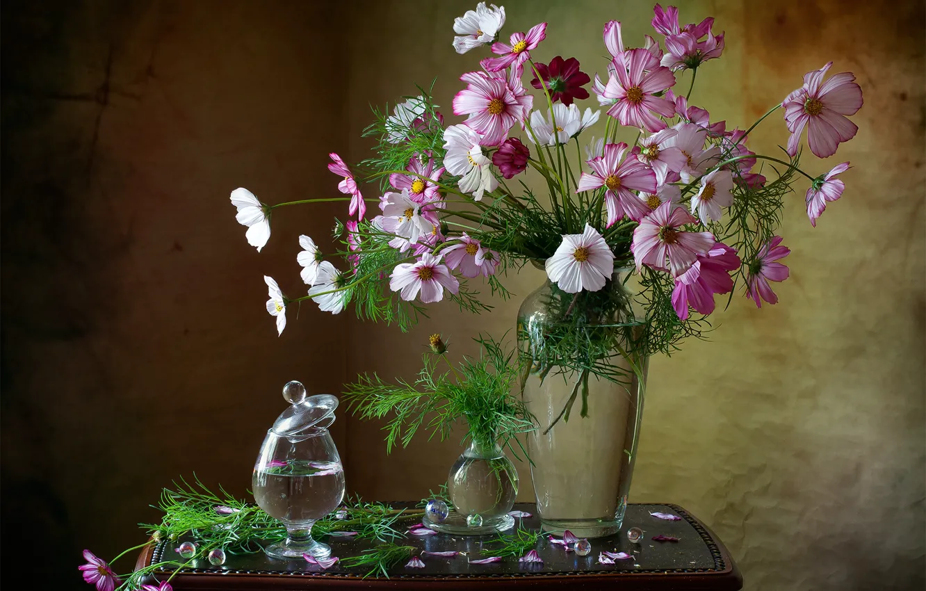 Фото обои цветы, бокал, лепестки, ваза, столик, космеи
