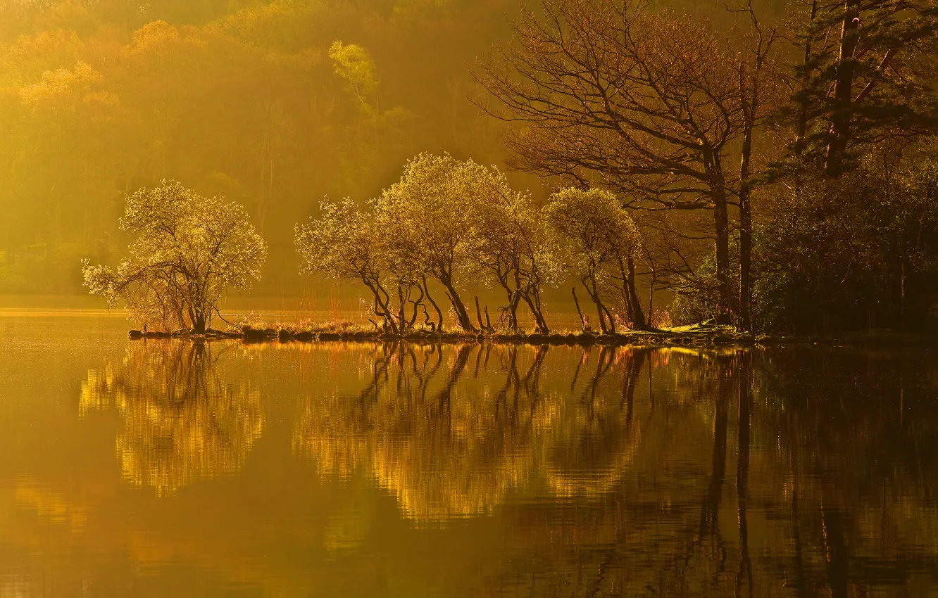 Фото обои осень, лес, деревья, закат, озеро, отражение, остров
