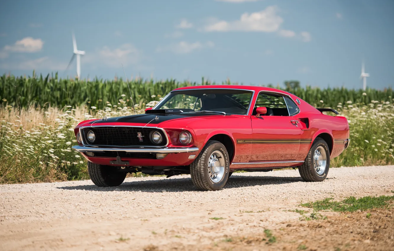 Фото обои Mustang, Ford, мустанг, 1969, форд