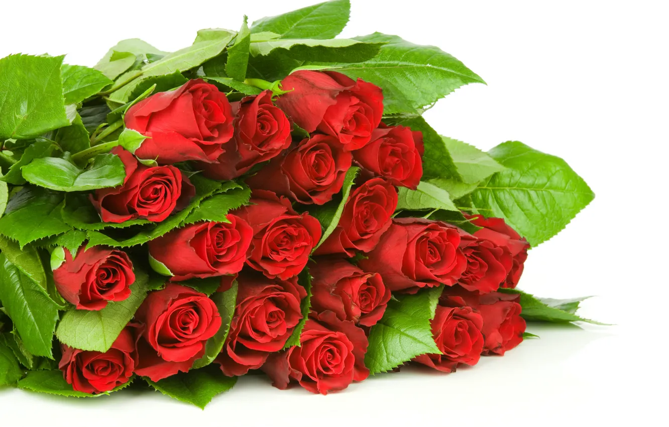 Фото обои листья, цветы, букет, бутоны, flowers, leaves, bouquet, red roses