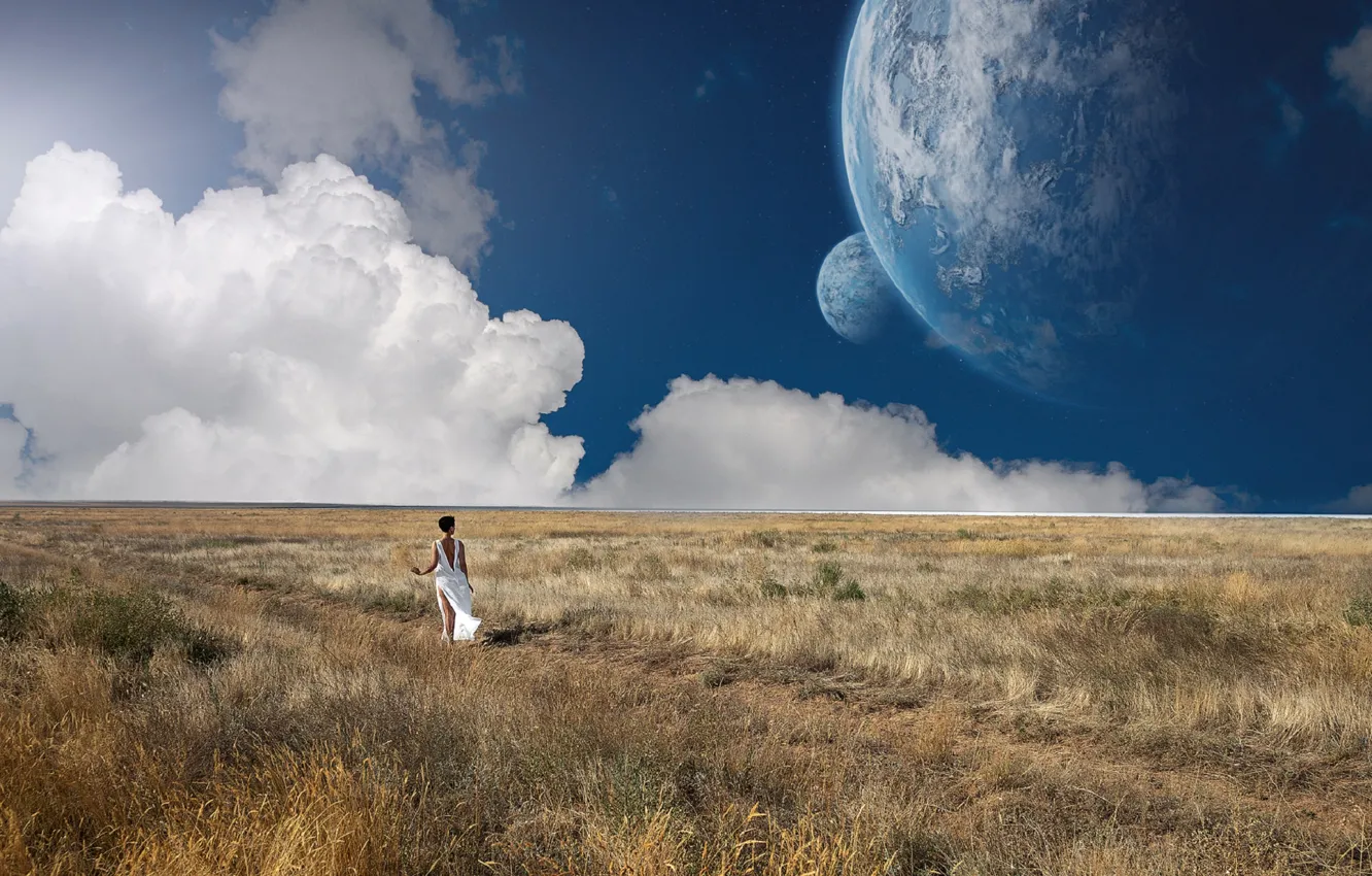 Фото обои поле, небо, девушка, луна