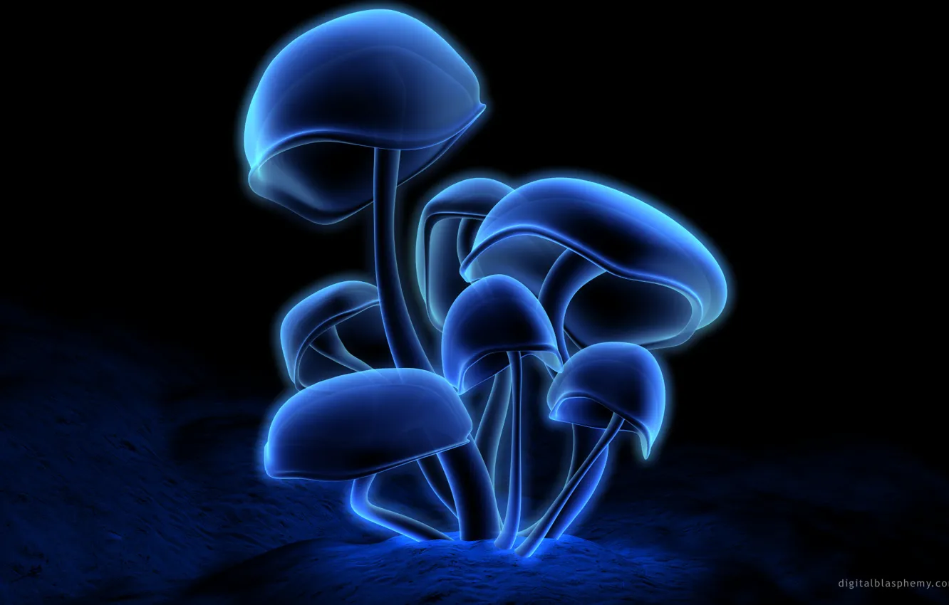 Фото обои Neon, Digital, Mushroom