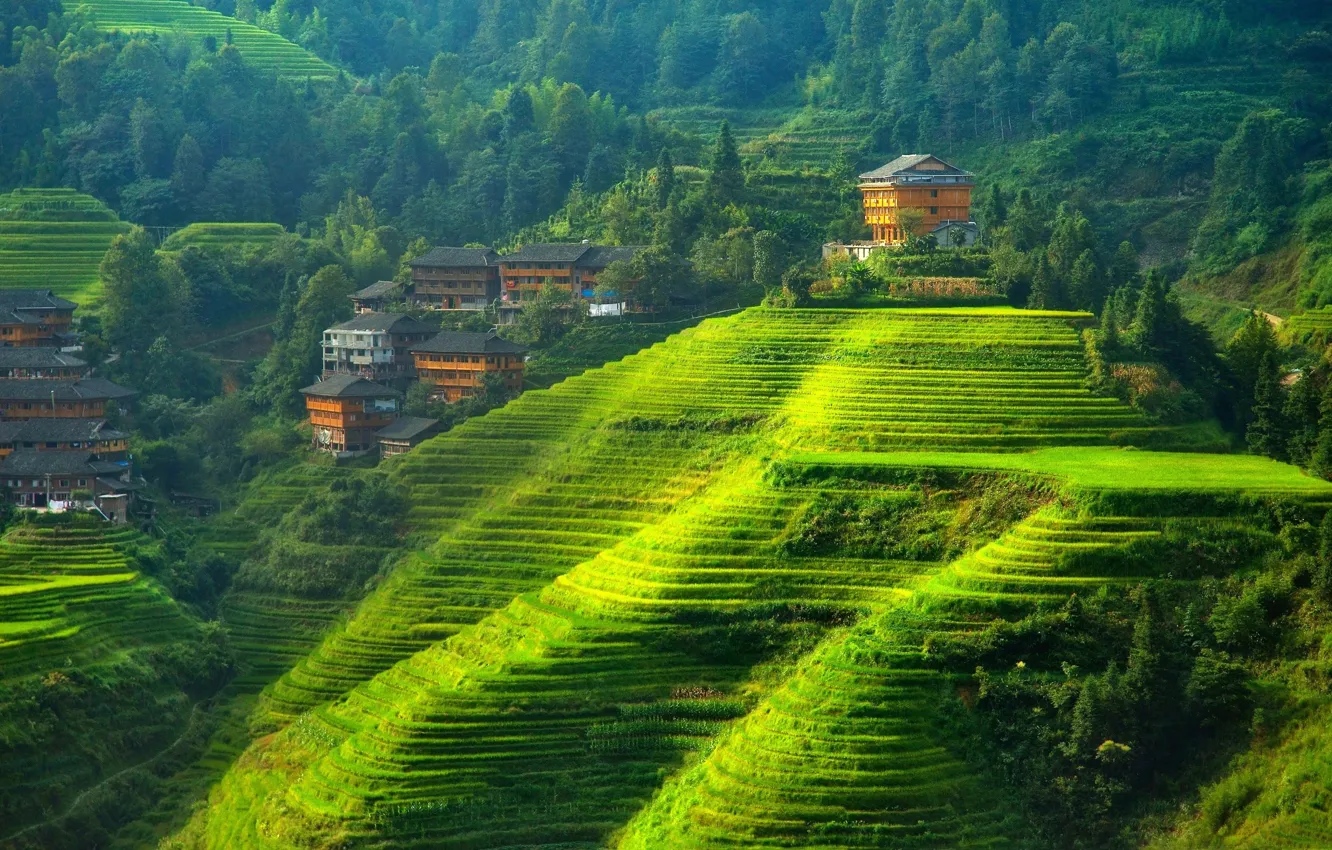 Фото обои зелень, лес, горы, холмы, азия, домик, поселение, терраса