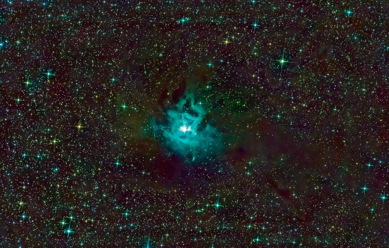 Фото обои Цефей, в созвездии, Iris Nebula, Туманность Ирис