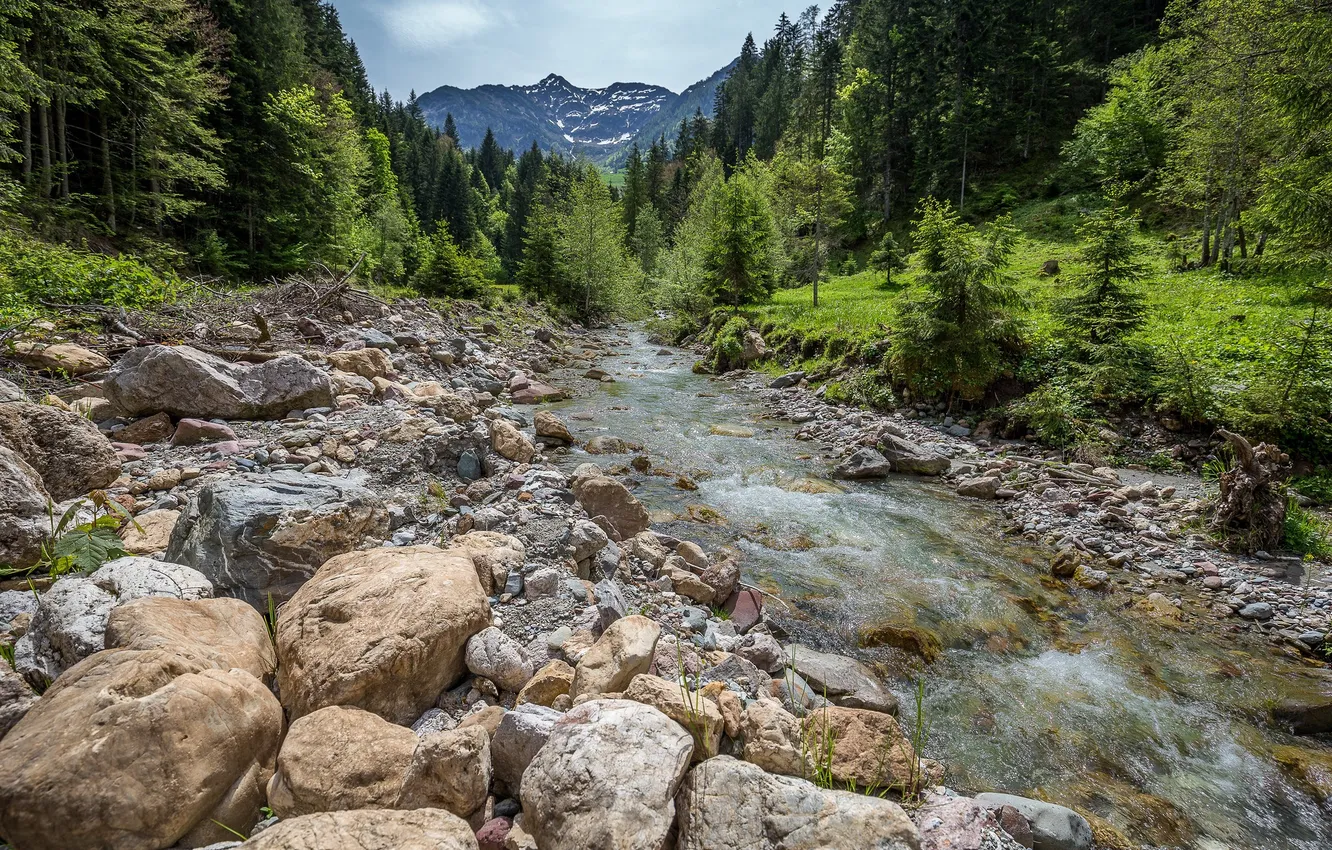 Фото обои лес, небо, облака, пейзаж, горы, природа, камни, скалы