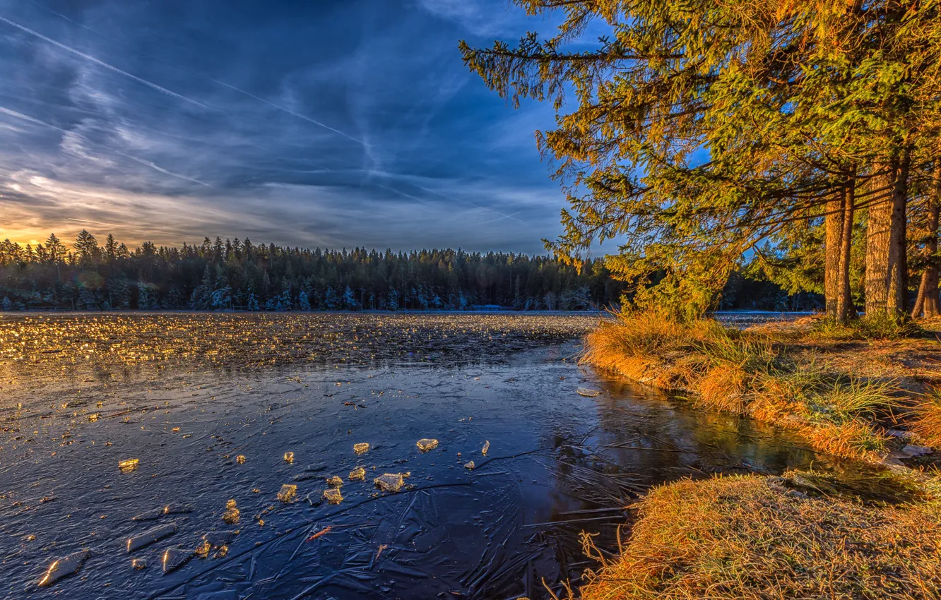 Фото обои лед, осень, облака, свет, деревья, ветки, озеро, пруд