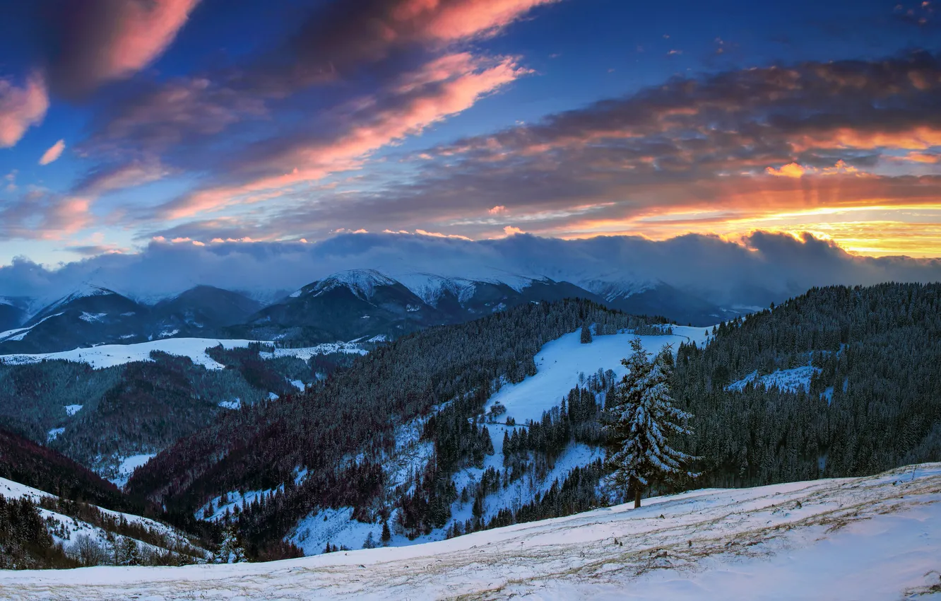 Фото обои зима, лес, небо, облака, снег, деревья, закат, горы