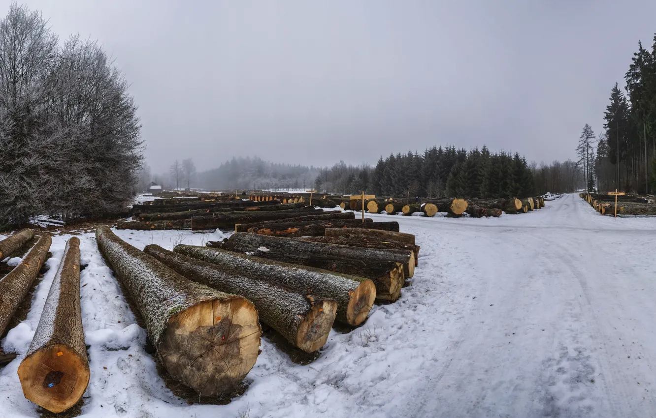Фото обои зима, лес, брёвна