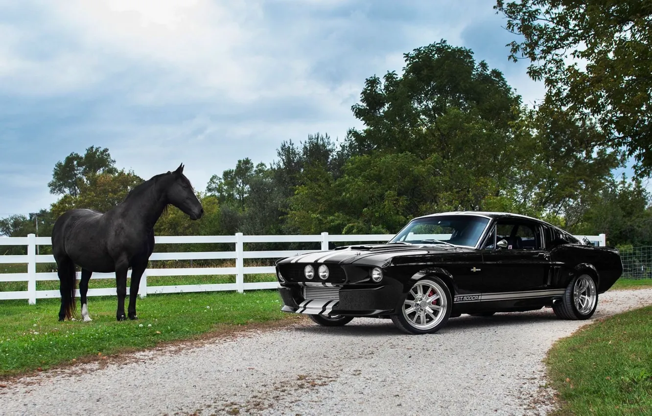 Фото обои Muscle, 1968, Horse, Ford Mustang Shelby GT 500CR
