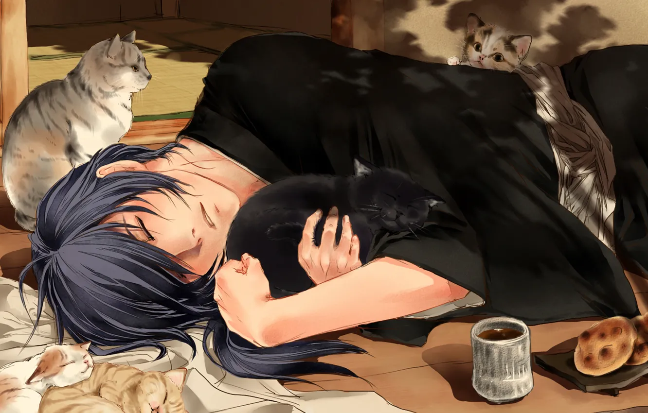Фото обои чай, коты, спит, парень, Hakuouki, Saitou Hajime, Shinsengumi