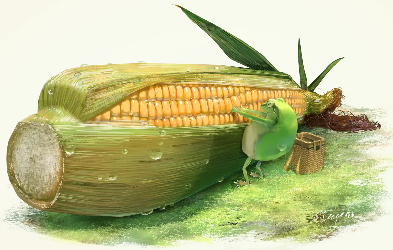 Фото обои лягушка, кукуруза, початок