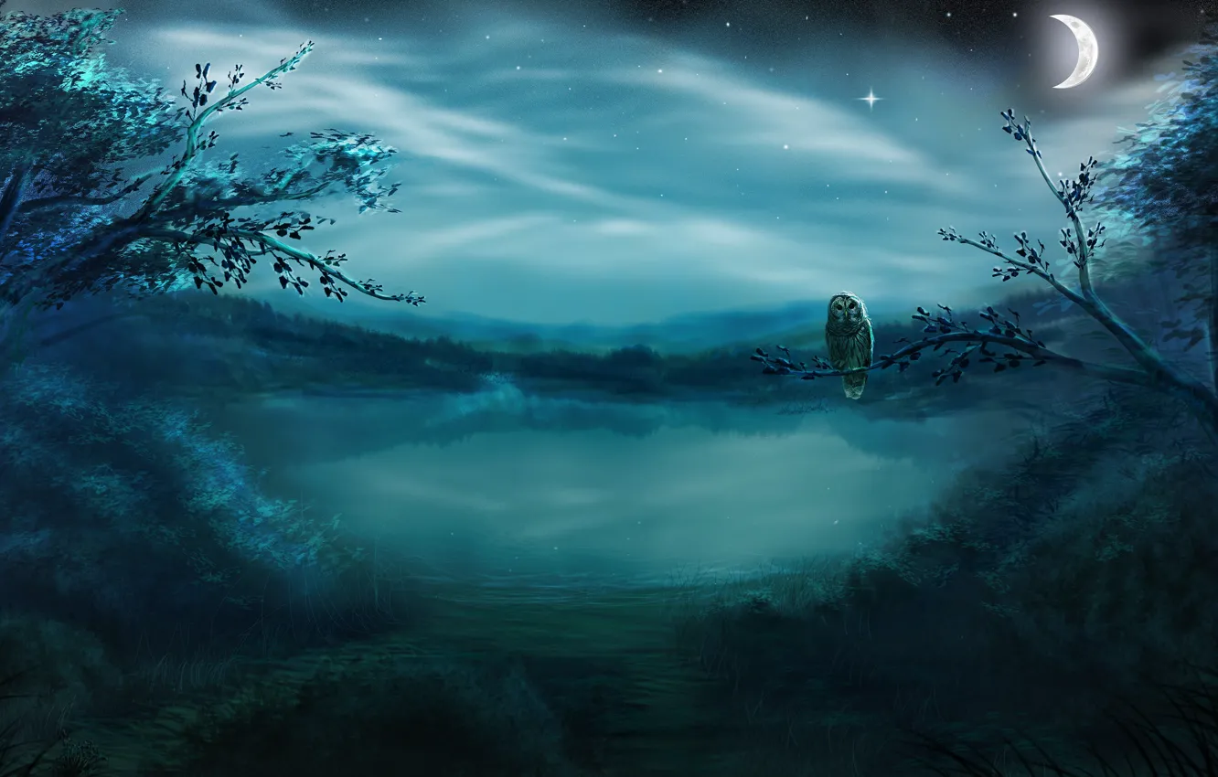 Фото обои лес, звезды, ночь, туман, озеро, сова, птица, луна