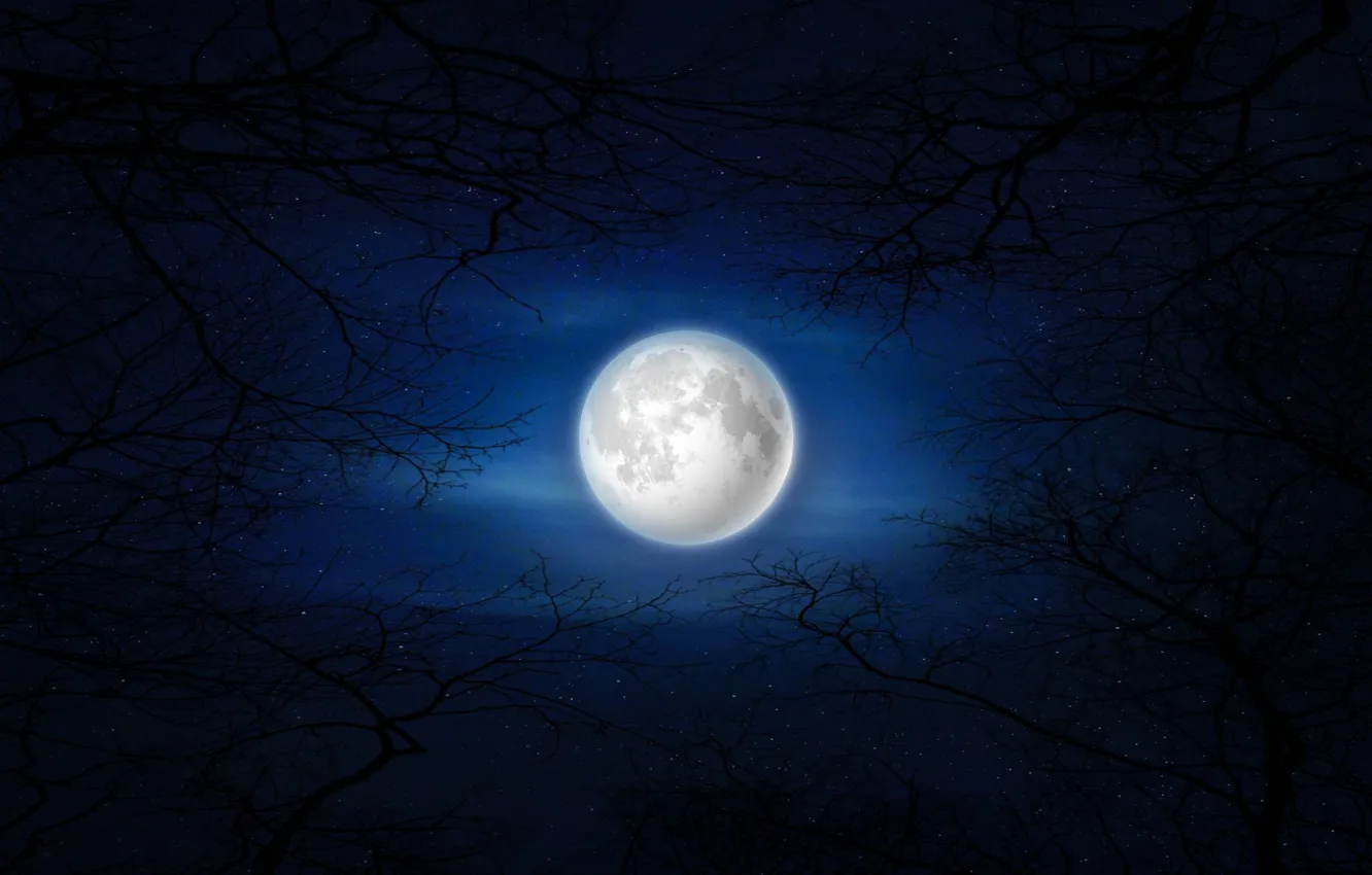 Фото обои moon, trees, night, deep blue