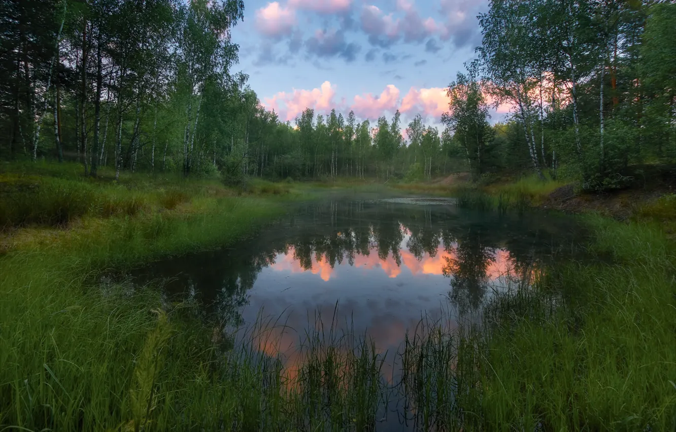 Фото обои лес, деревья, пейзаж, природа, озеро, рассвет, утро, Алексей Богорянов