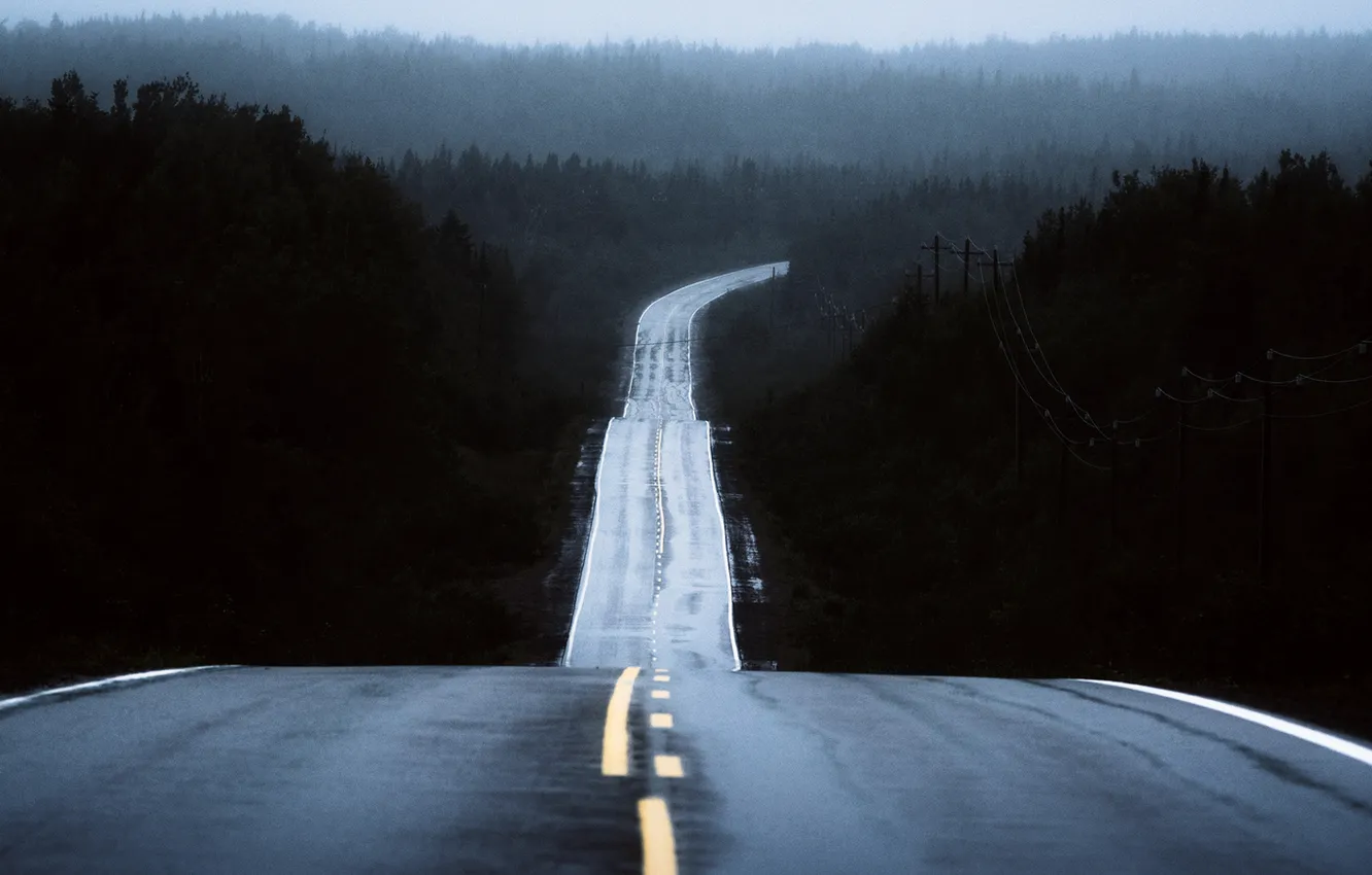 Фото обои road, fog, rainy