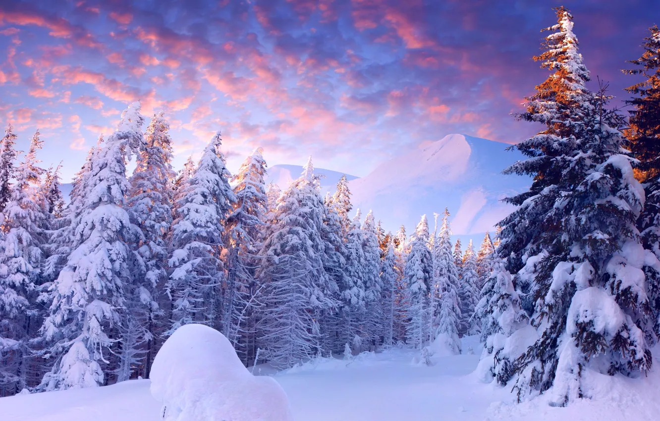 Фото обои небо, облака, свет, снег, деревья, горы, Зима