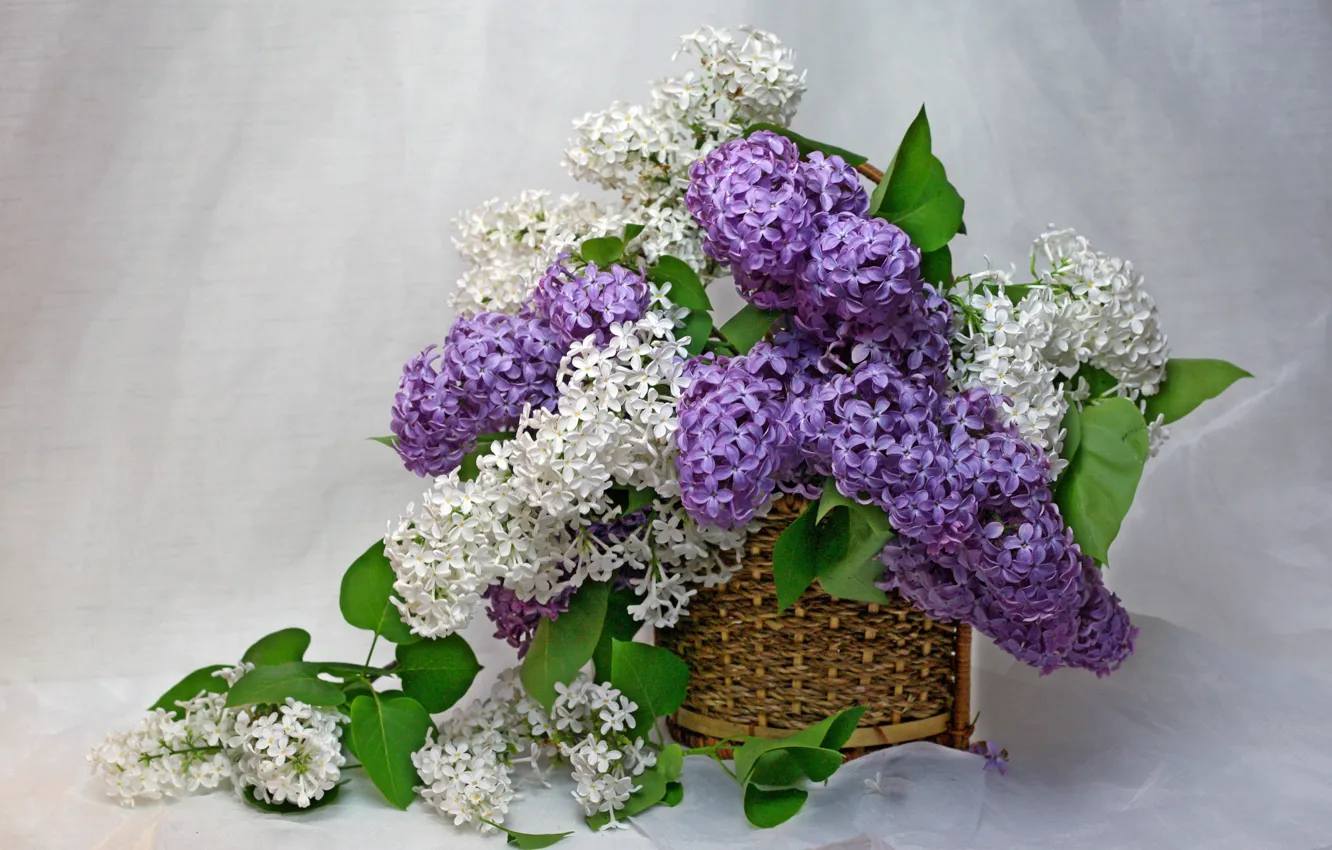 Фото обои цветы, дом, красота, весна, май, ваза, натюрморт, сирень
