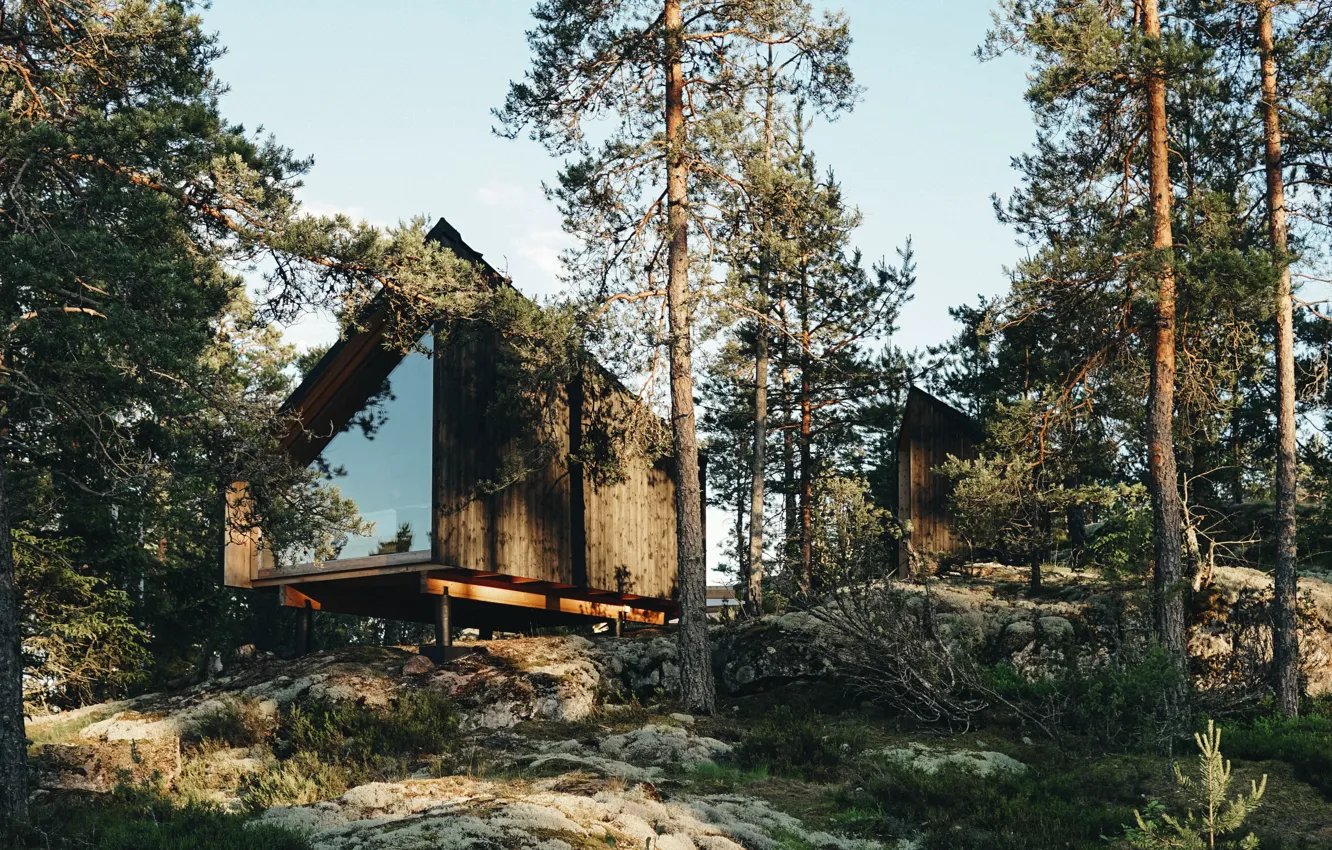 Фото обои Природа, Дома, Деревья, Nature, Финляндия, Finland, Отель Hilltop Forest, Hotel Hilltop Forest