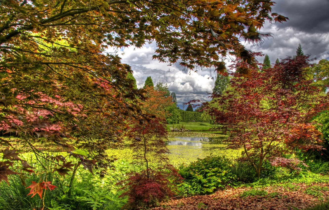 Фото обои осень, листья, деревья, пруд, сад, Канада, кусты, Vancouver