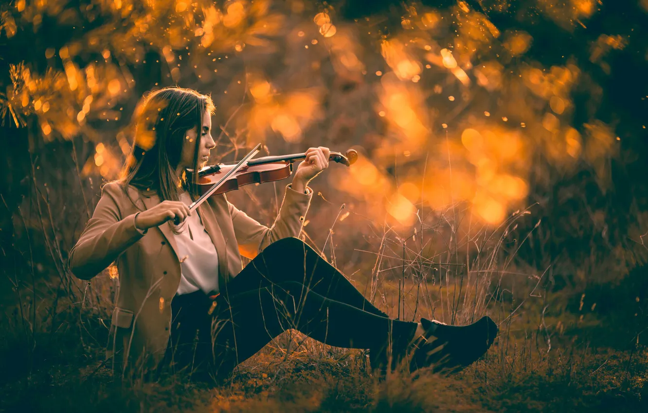 Фото обои девушка, скрипка, Violin